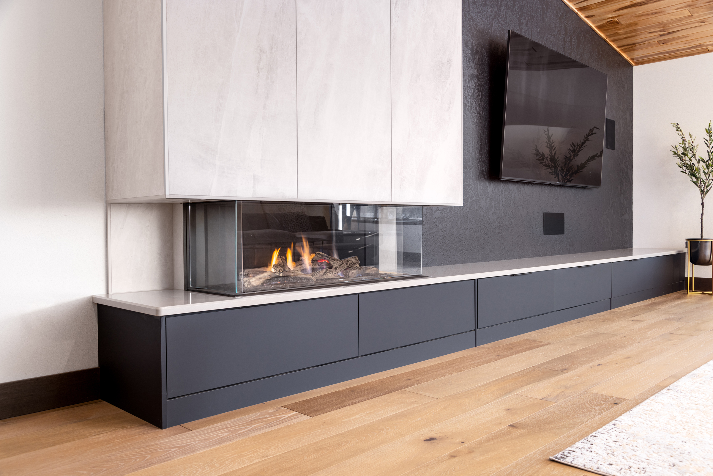 Contemporary Family Room Cabinets