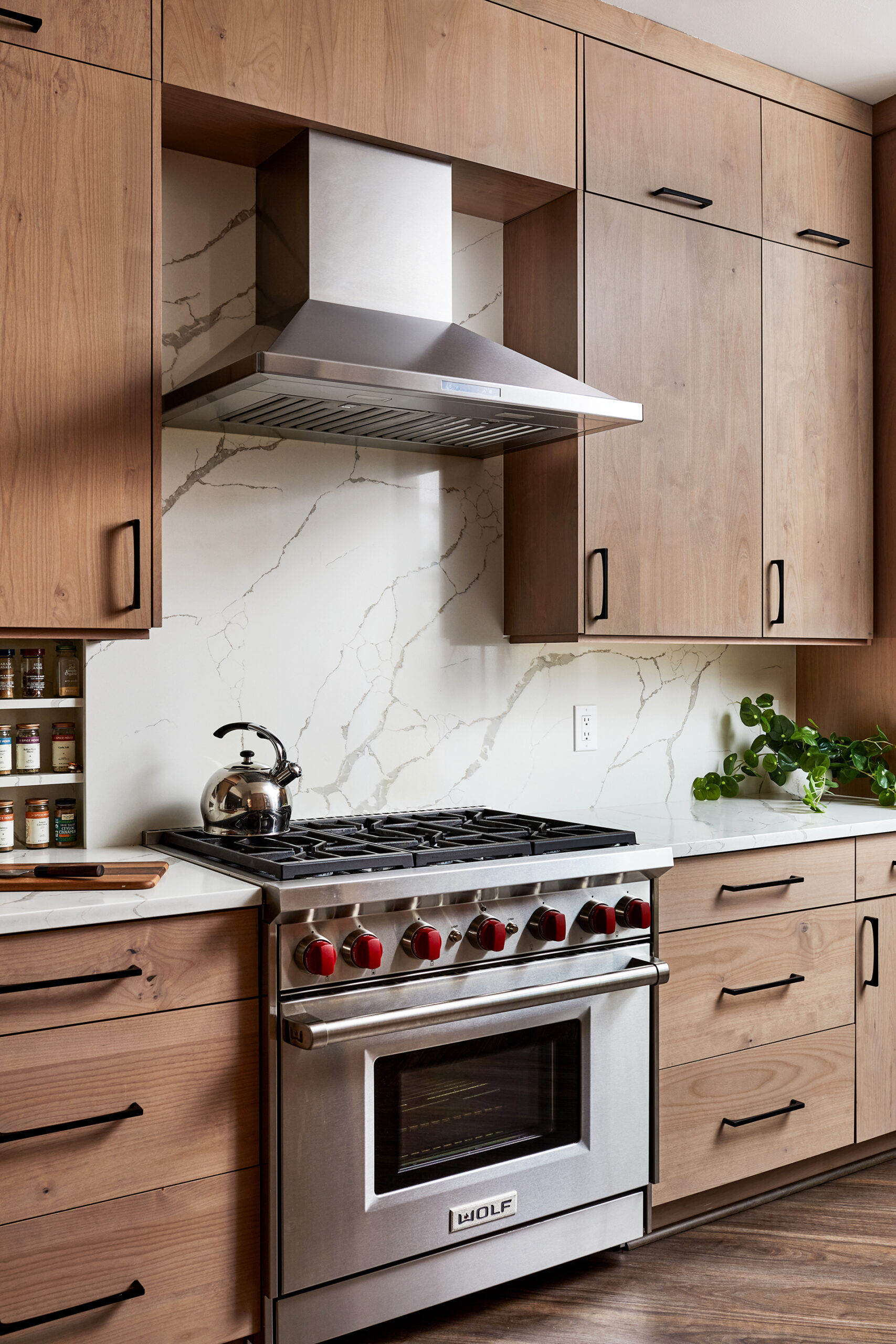 Transitional Slab Door Alder Kitchen